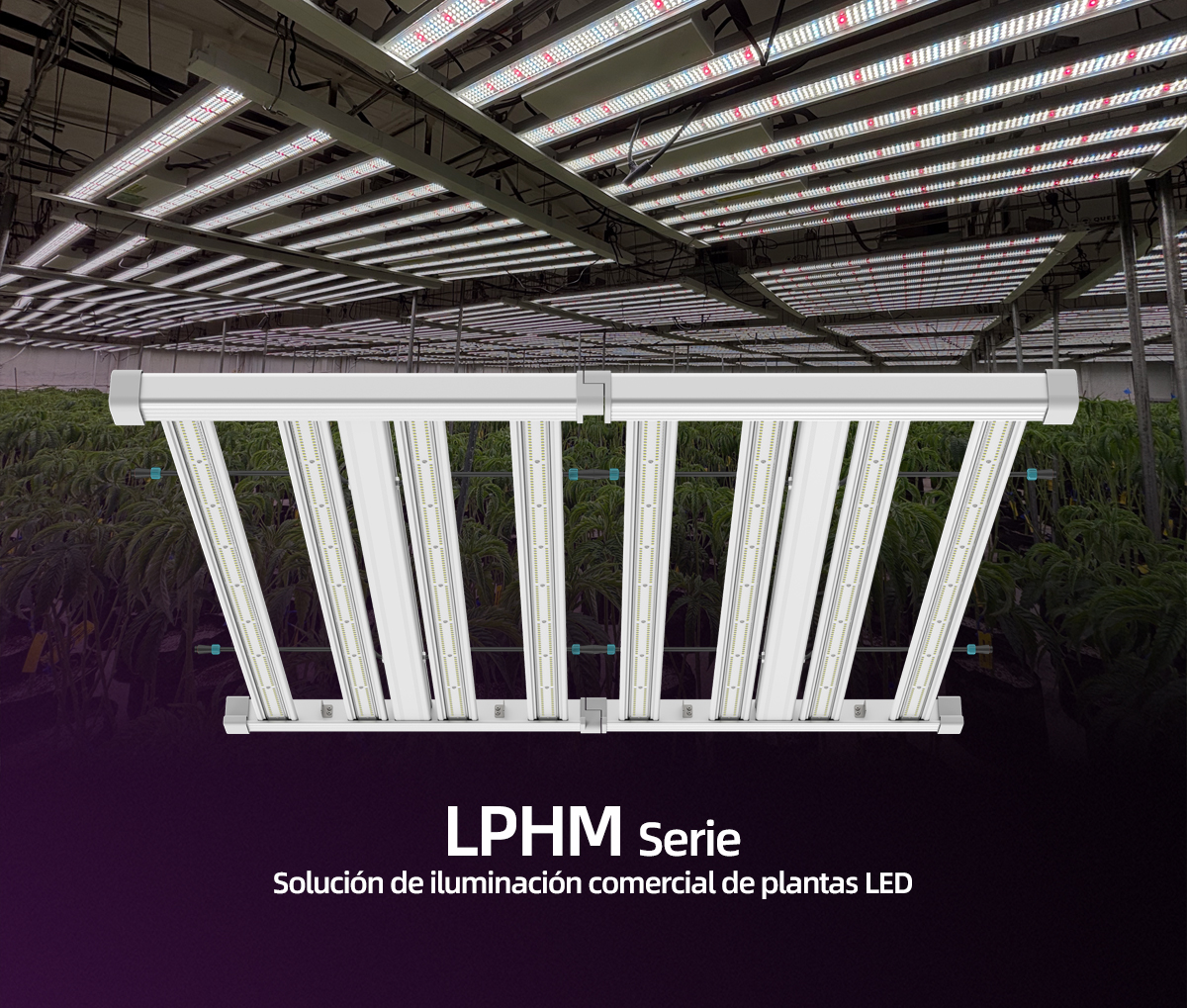 LPHM-Grow-light-Spanish_01