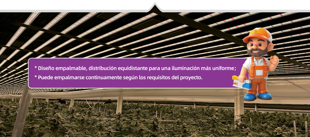LPHM-Grow-light-Spanish_03