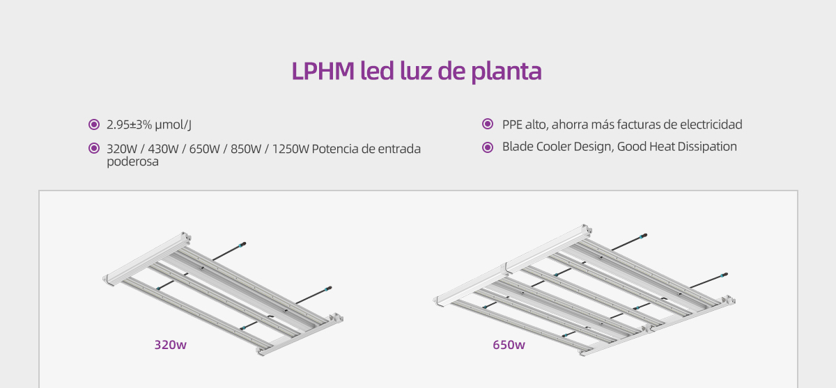 LPHM-Grow-light-Spanish_04